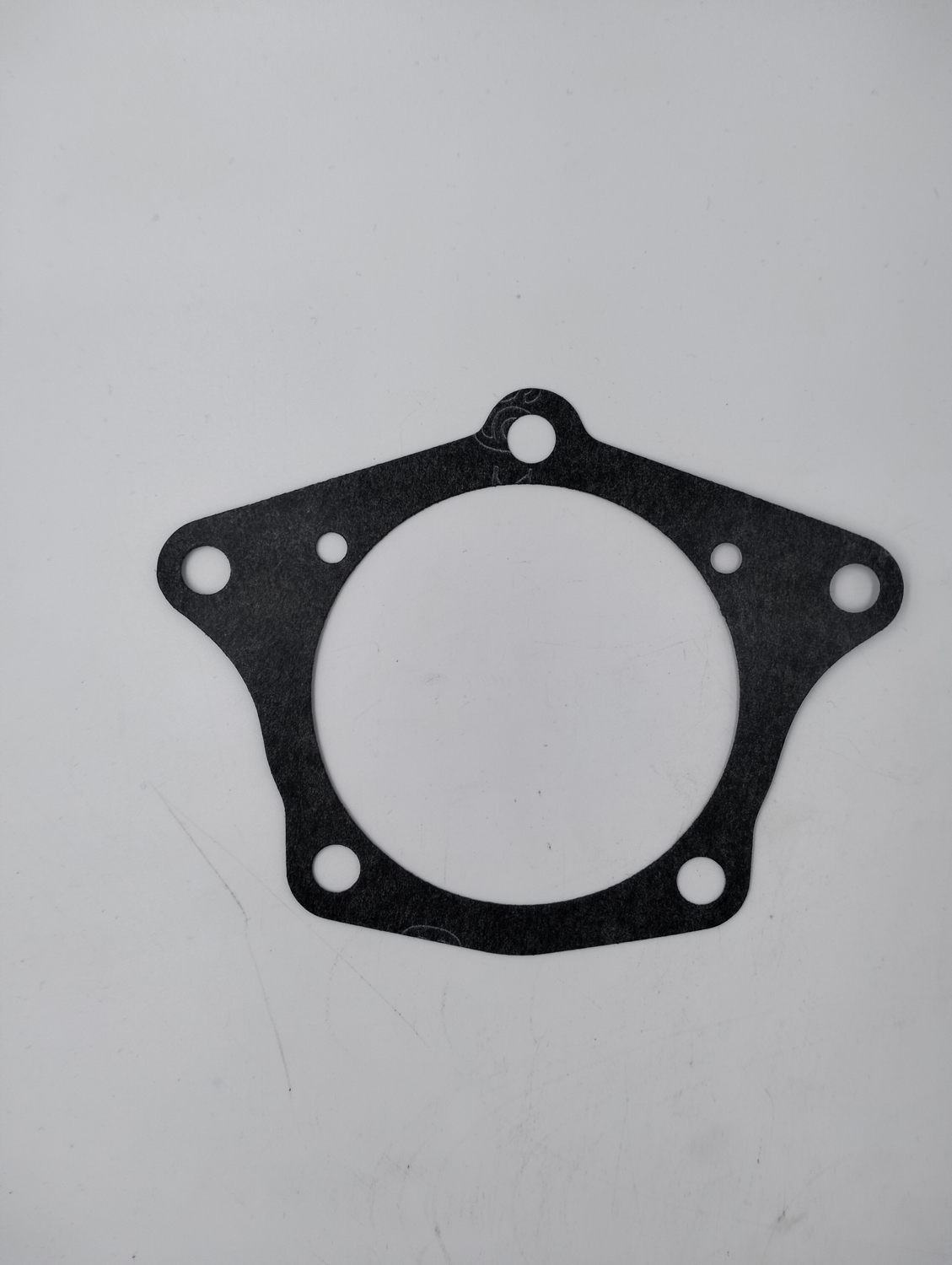 DIFF SIDE PLATE GASKET - GENUINE - Image 4