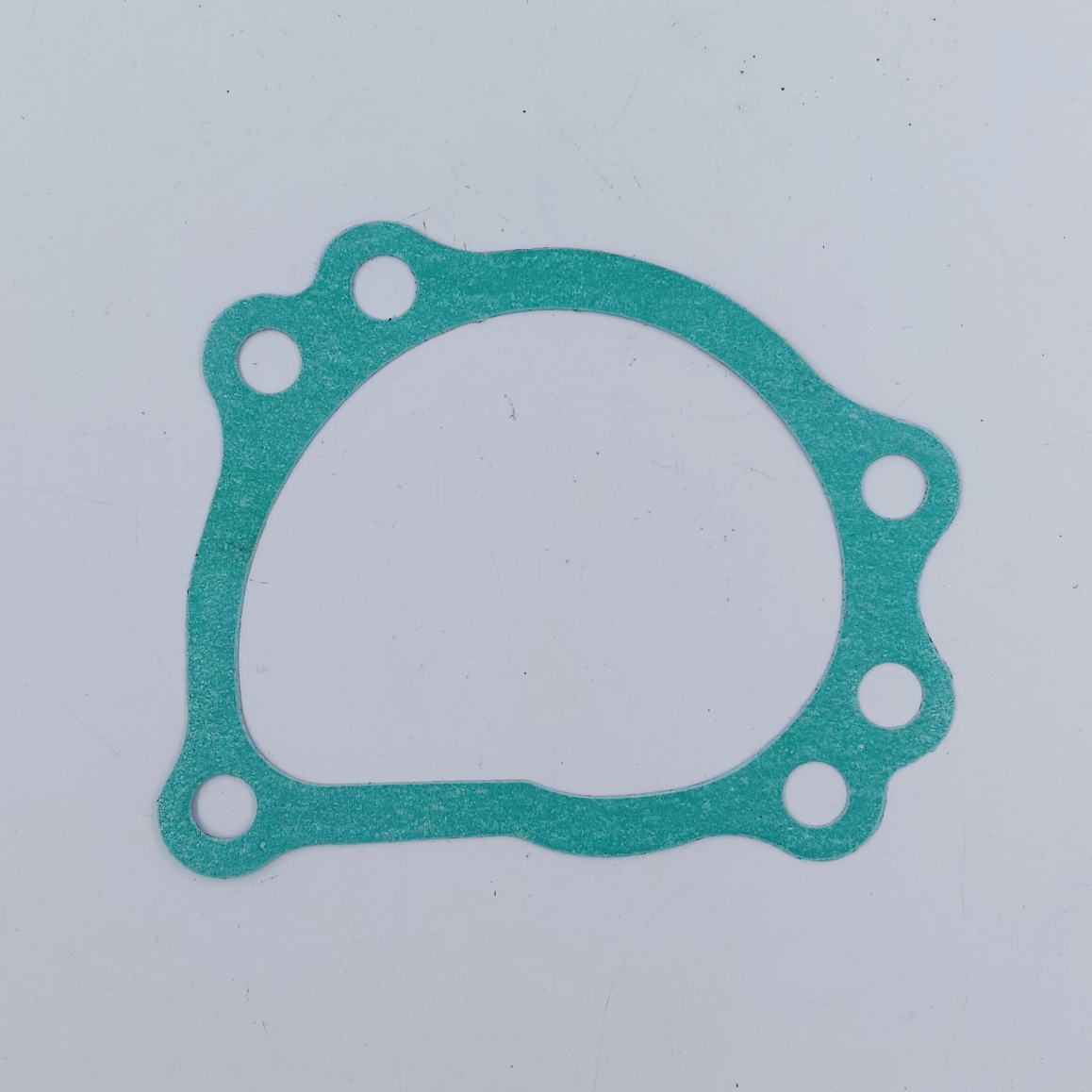 WATER PUMP GASKET - GENUINE